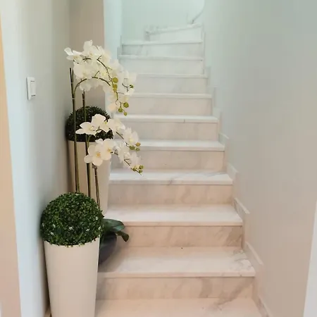 3 Bedroom Penthouse In